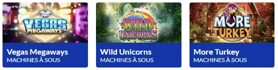 Options de mise LUCKY TREASURE CASINO
